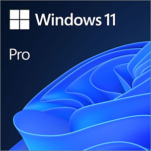 win11pro